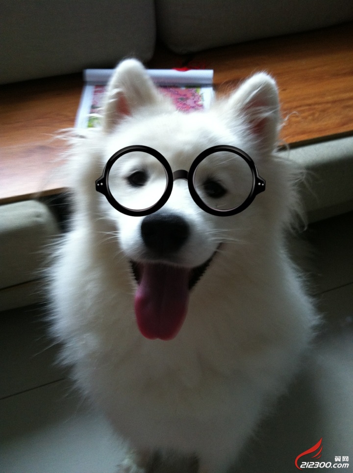 给我找个理由,和相爱2年的男友分手,一辈子选