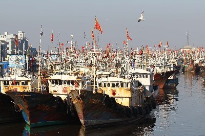 海鲜等海产礼品批发啦!