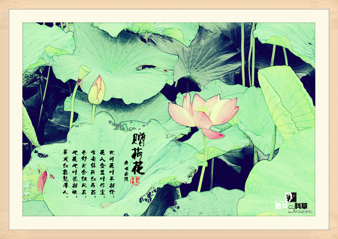 《赠荷花 唐 李商隐