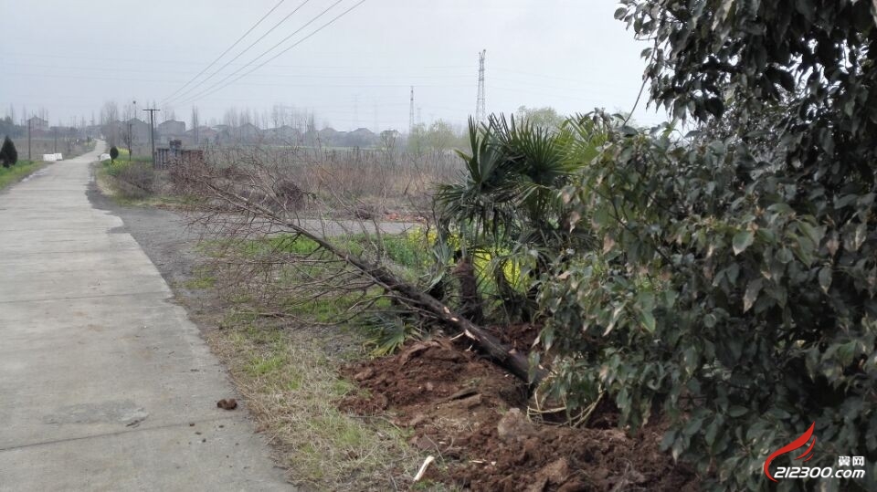 开发区其林大队干部穷疯了|聚焦丹阳