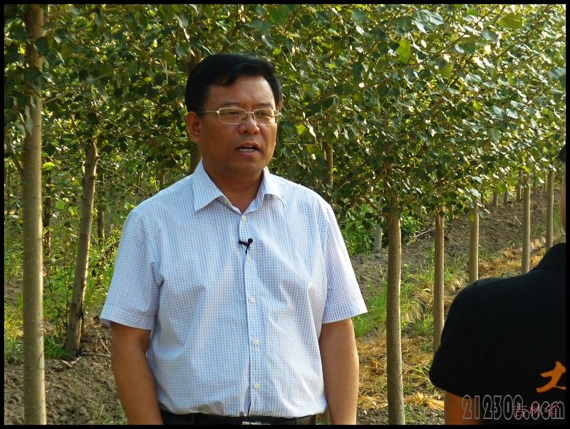 白城市林业局长邱明义说:没有白城的林业就没有白城的农业,因为农田