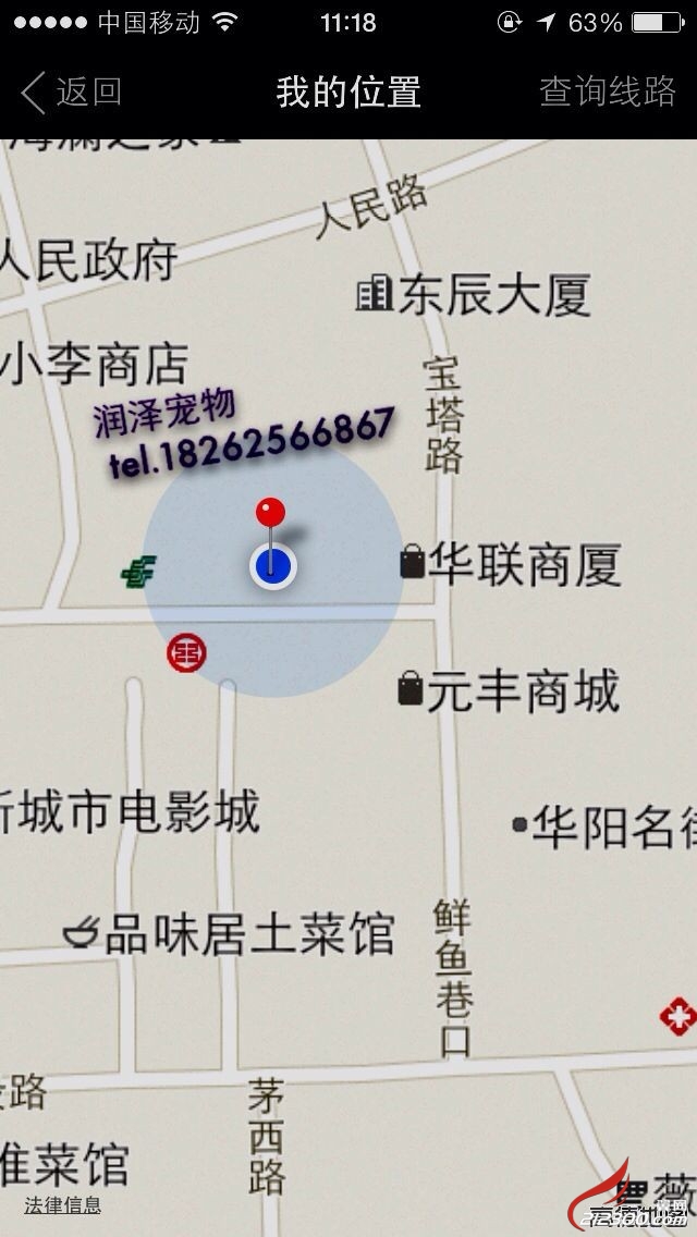 拉布拉多枪猎犬是一种中大型犬类.