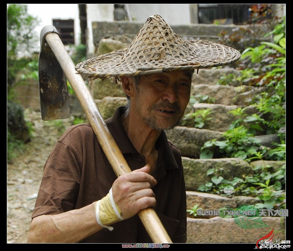 丹阳翼网
