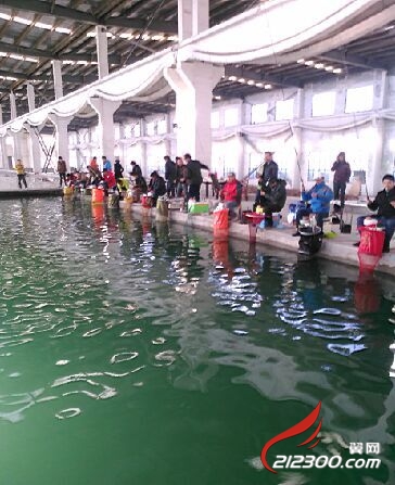 丹阳电视台 江苏卫视元旦录制的比赛现场照片