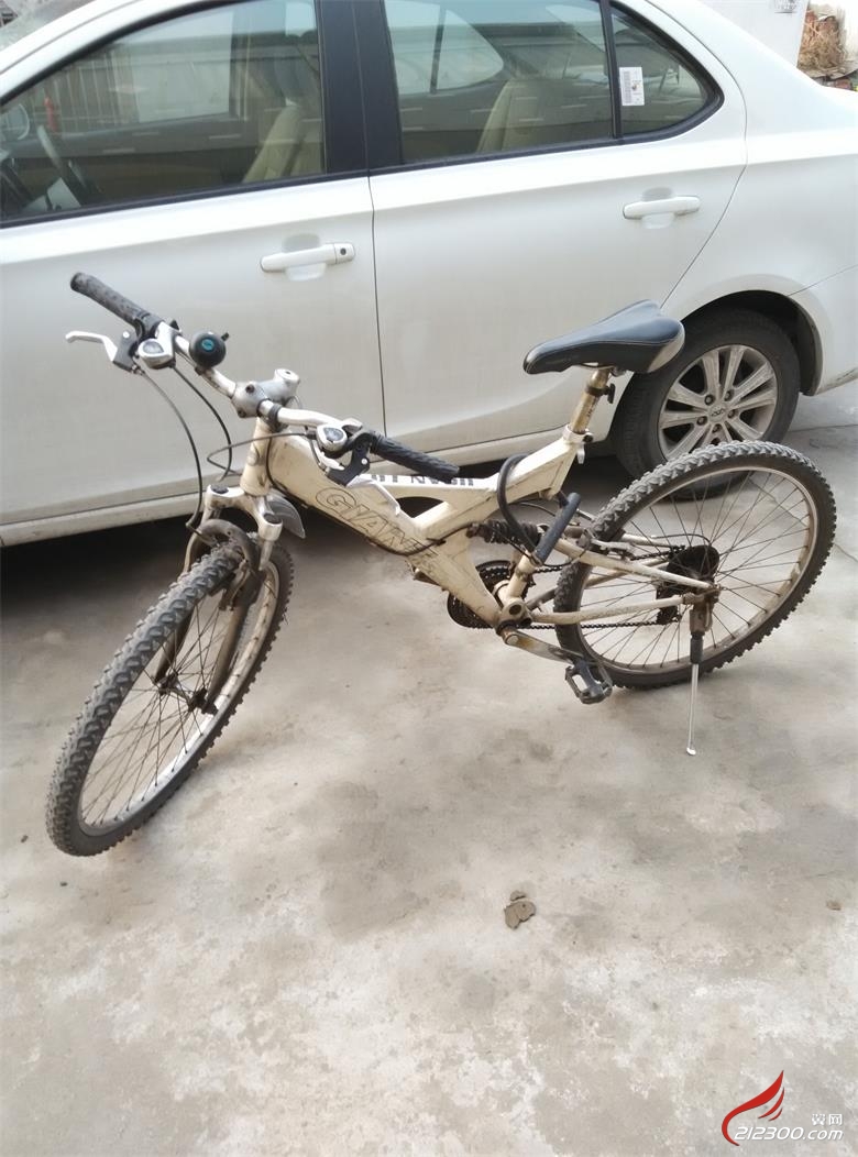 收一辆山地车 带图带价格